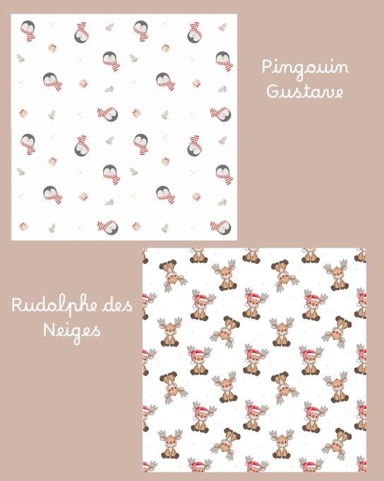 Bonnet  Réversible  - Copie